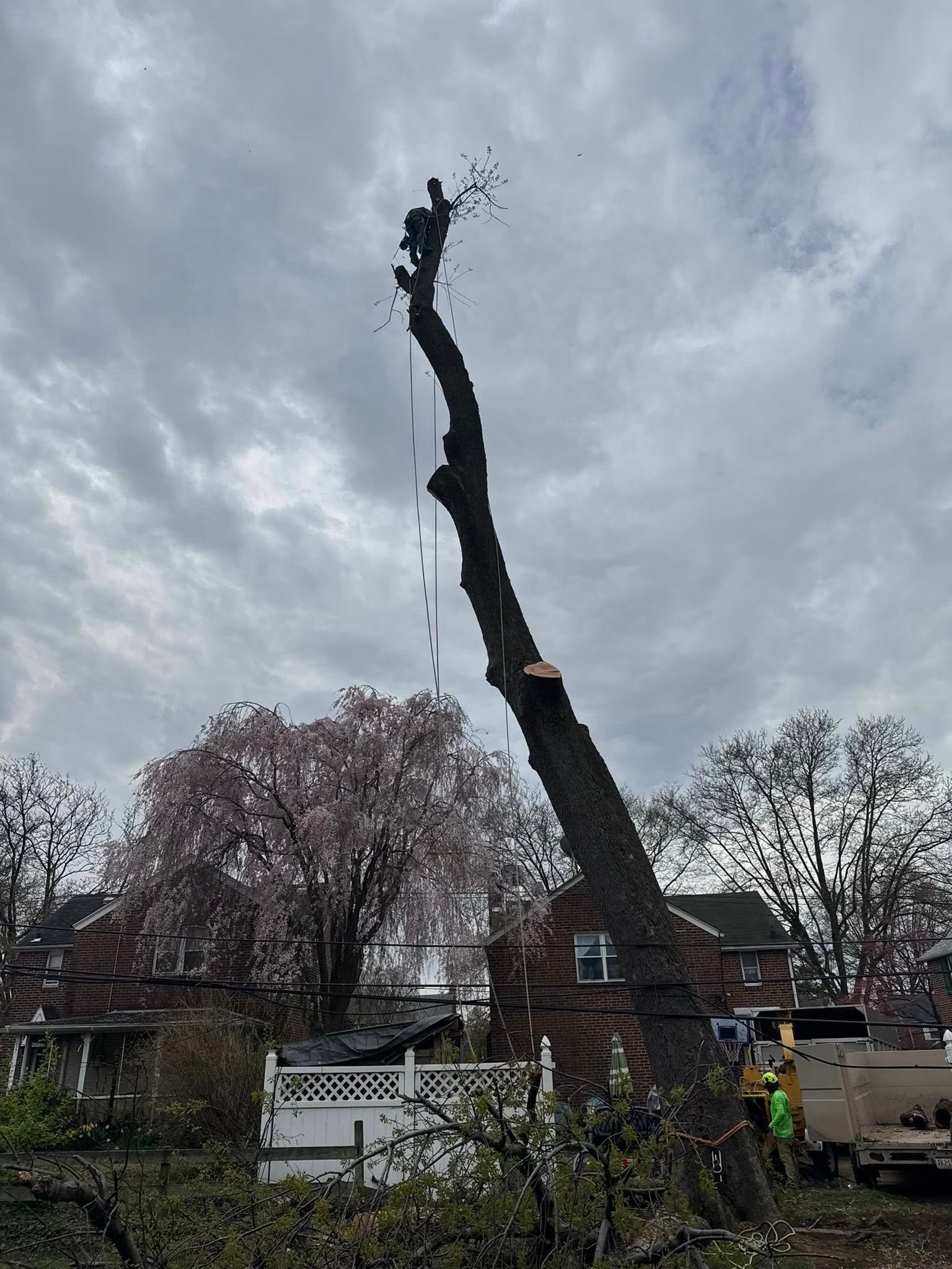 501063337_122164911176532072_6530683420367168237_n