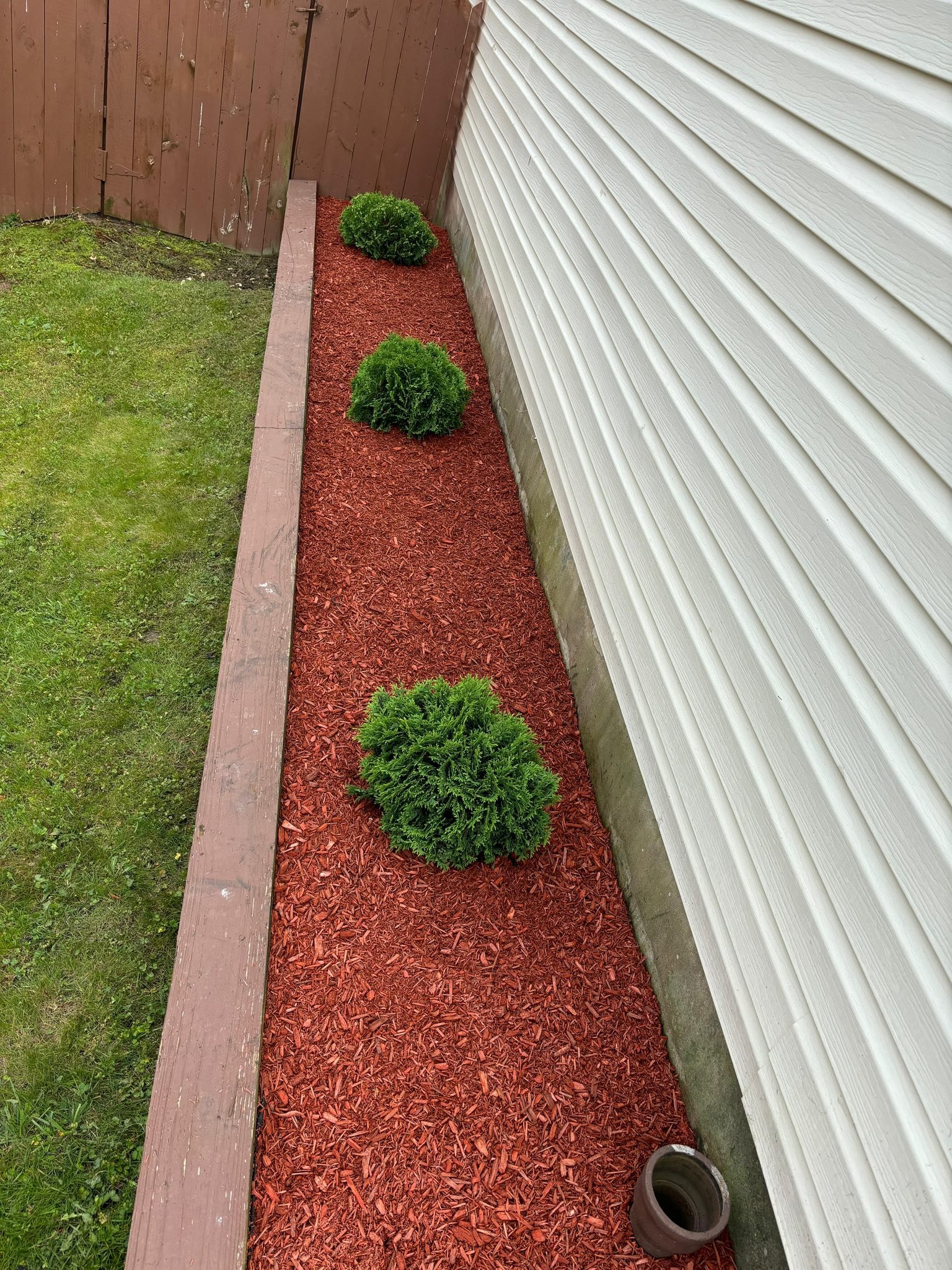 508125225_122164776668532072_1427579772373554828_n