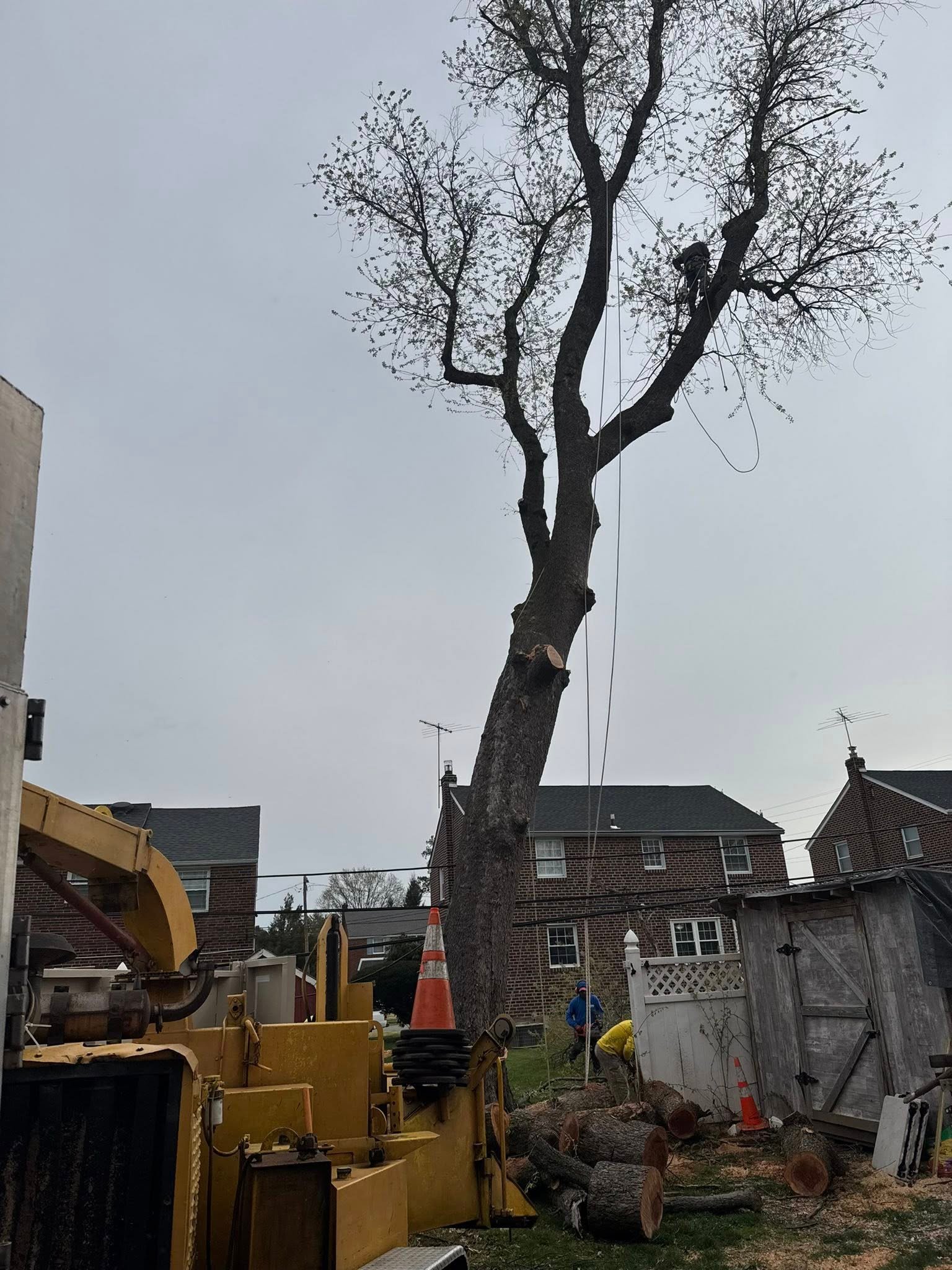 508612208_122165177144532072_3049301504527827626_n